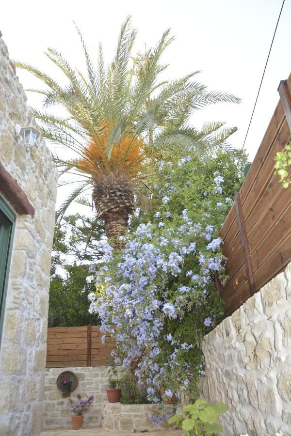 Joakim'S Villa Pitsidia Exterior foto